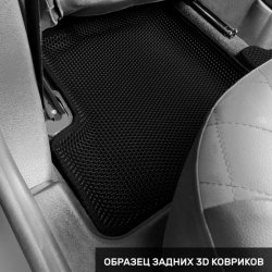 Левый пассажир