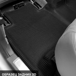 Левый пассажир