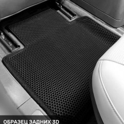 Левый пассажир