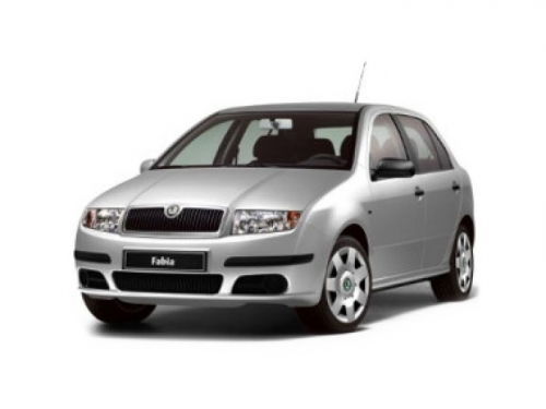 2D коврики EVA в салон на Skoda Fabia I (1999-2007)