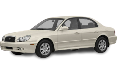 2D коврики EVA в салон на Hyundai Sonata IV EF (1998-2012)
