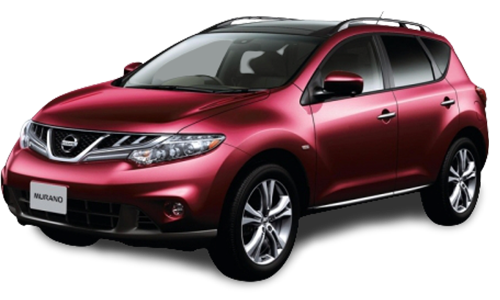 2D коврики EVA в салон на Nissan Murano II Z51 (2008-2015)