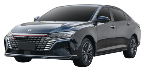 2D коврики EVA в салон и багажник на DongFeng Shine Max (2023-н.в)