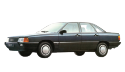 2D коврики EVA в салон на Audi 100 C3 (1982-1991)