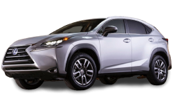 2D коврики EVA в салон и багажник на Lexus NX (2014-2021)