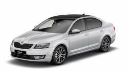 3D коврики EVA с бортами в салон на Skoda Octavia III A7 (2013-2020)