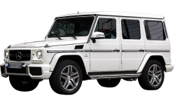 2D коврики EVA в салон на Mercedes-Benz G W463 рестайлинг 3, 5-дверный (2012-2015)